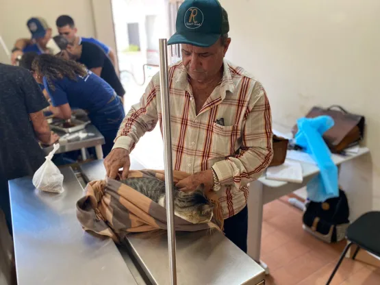 Prefeitura de Medeiros Neto dá continuidade a consultas veterinárias e castração para cães e gatos gratuitamente 