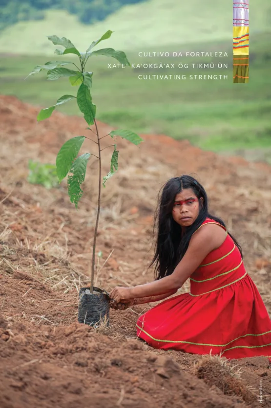 Programa Arboretum realizou a Exposição Fotográfica Florestas Culturais