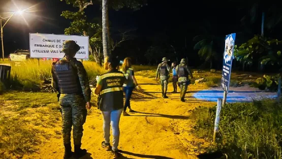 Militares da CIPPA/PS e fiscais da SEMMA de Porto Seguro resgatam filhotes de tartaruga na BR-367