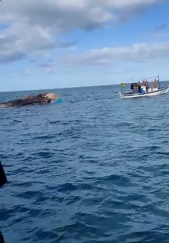 Vídeos  - Dois pescadores são resgatados após ficar seis dias à deriva em alto mar em Caravelas