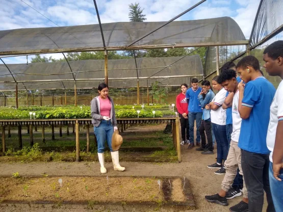 Alunos do Colégio Estadual Rômulo Galvão (CEPROG) participam de várias atividades na Semana do Meio Ambiente 