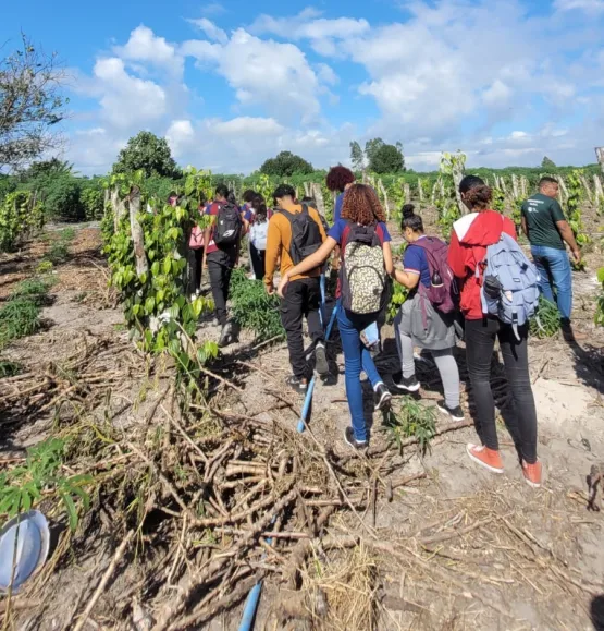 Alunos do Colégio Estadual Rômulo Galvão (CEPROG) participam de várias atividades na Semana do Meio Ambiente 