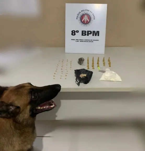 Com auxílio do cão policial do 8° BPM drogas são apreendidas em Porto Seguro