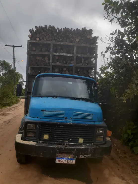 Polícia Civil recupera madeira furtada de empresa em Caravelas, criminosos fugiram