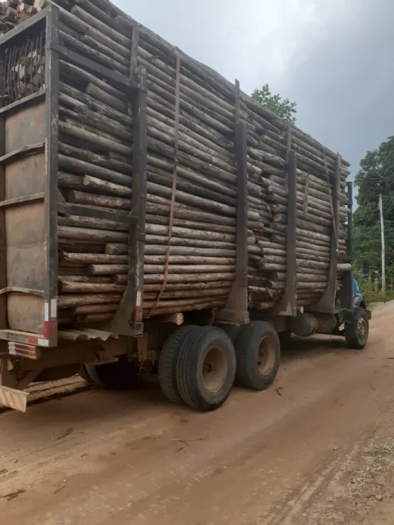 Polícia Civil recupera madeira furtada de empresa em Caravelas, criminosos fugiram