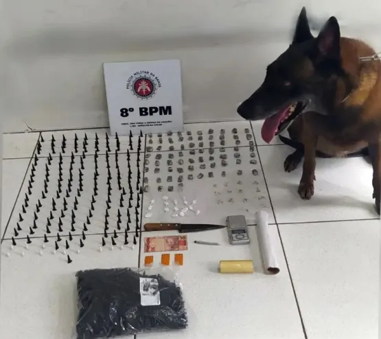 Porto Seguro - Cão policial do 8° BPM auxilia na apreensão de drogas duas vezes no mesmo dia