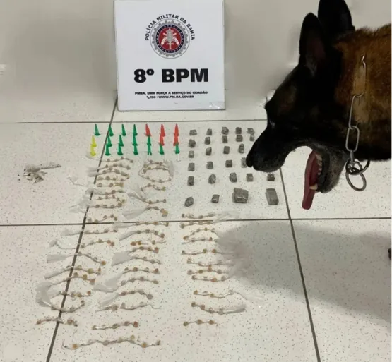 Porto Seguro - Cão policial do 8° BPM auxilia na apreensão de drogas duas vezes no mesmo dia