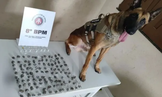 Cão policial do 8° BPM auxilia na localização de drogas, em Santa Cruz Cabrália