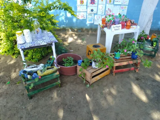 Escola Girassol/APAE de Medeiros Neto realiza apresentações do projeto Educação Ambiental