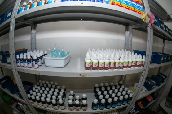 Prefeitura de Teixeira realiza entrega de medicamentos e demais insumos para o Complexo Ubirajara