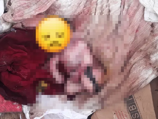 Corpo de bebê recém-nascido é encontrado em meio ao lixo em Itamaraju