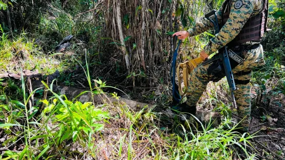 Policiais da CIPPA/PS apreendem arma e munições durante ronda na zona rural de Ilhéus.