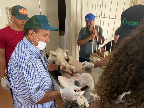 Medeiros Neto: novas consultas veterinárias e castração de pets seguem sendo ofertadas pela Prefeitura 