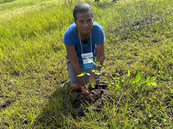 Prefeitura realiza plantio de mudas nativas em zona urbana de Teixeira de Freitas