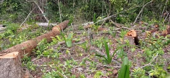 Policiais militares da CIPPA/PS notificam condomínio em Arraial D’Ajuda por cometimento de Crime Ambiental