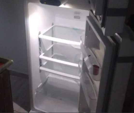 Mãe mata filha de 8 anos, esquarteja e esconde corpo dentro da geladeira