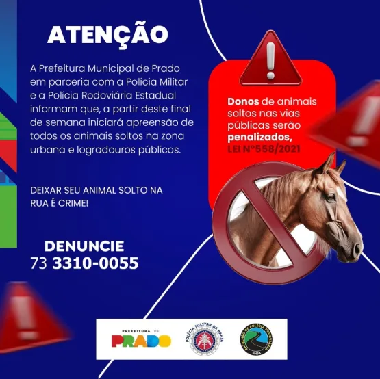 Prefeitura de Prado e Polícia iniciam operação de apreensão de animais nas vias públicas