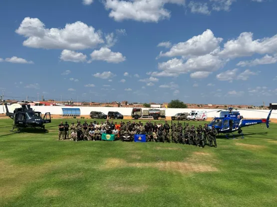 PF e SSP erradicam mais de 130 mil pés de maconha encontrados em cidades da BA e PE