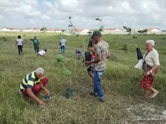 Prefeitura de Teixeira de Freitas realiza plantio de mudas nativas com idosos assistidos pelo CRAS