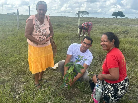 Prefeitura de Teixeira de Freitas realiza plantio de mudas nativas com idosos assistidos pelo CRAS