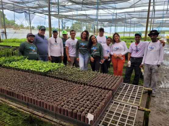 Prefeitura promove visita guiada em viveiro de Teixeira de Freitas