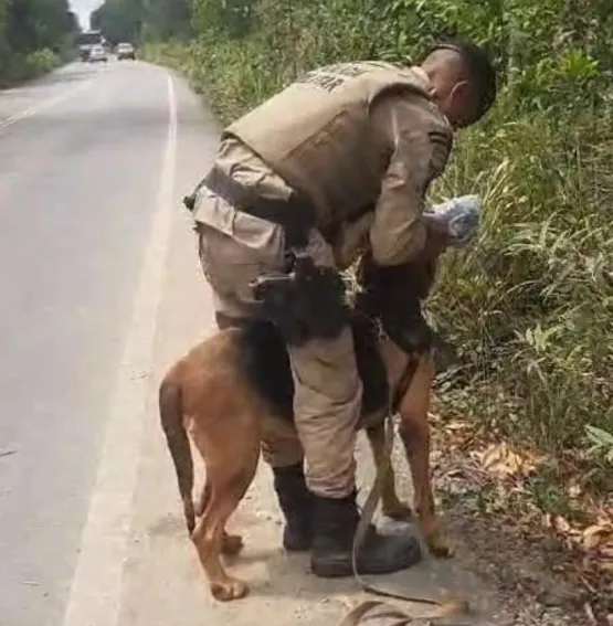 Acusado de matar ex-companheira em Porto seguro é preso em Ubatã