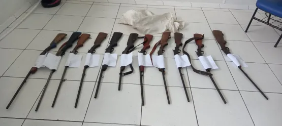 Policiais da CIPPA/PS apreendem 11 armas de fogo na zona rural de Porto Seguro.