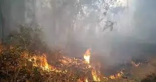 Estado envia bombeiros e aeronaves para unir esforços no combate ao incêndio no Parque Nacional do Monte Pascoal