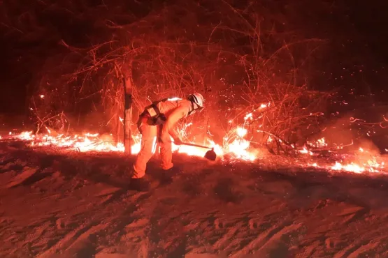 Estado envia bombeiros e aeronaves para unir esforços no combate ao incêndio no Parque Nacional do Monte Pascoal