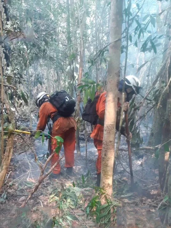 Base Florestal Sul conta com mais 50 bombeiros militares e 10 viaturas no apoio ao combate aos incêndios. focos de incêndio que atingem Prado, Itamarajú e Mucurí.