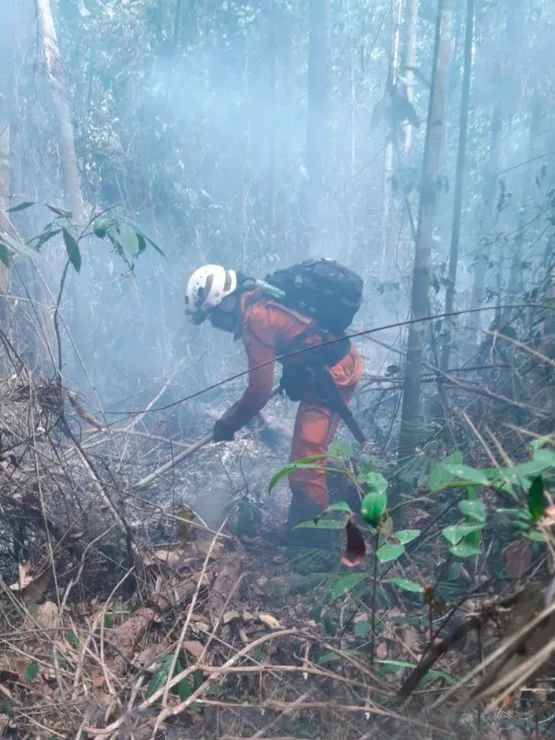 Base Florestal Sul conta com mais 50 bombeiros militares e 10 viaturas no apoio ao combate aos incêndios. focos de incêndio que atingem Prado, Itamarajú e Mucurí.