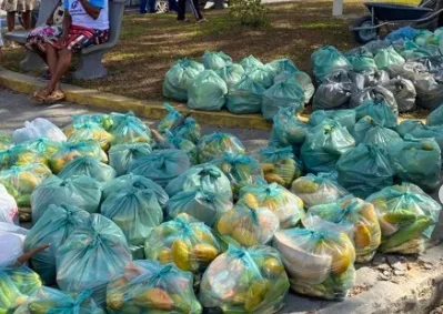 Programa de Aquisição de Alimentos (PAA) Impacta Positivamente no Distrito de Nova Tribuna em Caravelas