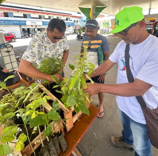 Prefeitura de Teixeira de Freitas reforça compromisso ambiental com Drive Thru de mudas nativas