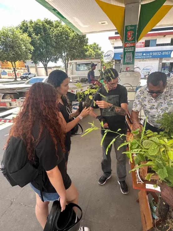 Prefeitura de Teixeira de Freitas reforça compromisso ambiental com Drive Thru de mudas nativas