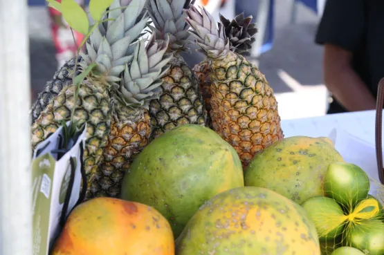 Feira da Agricultura Familiar encerra o ano com última edição em Teixeira de Freitas