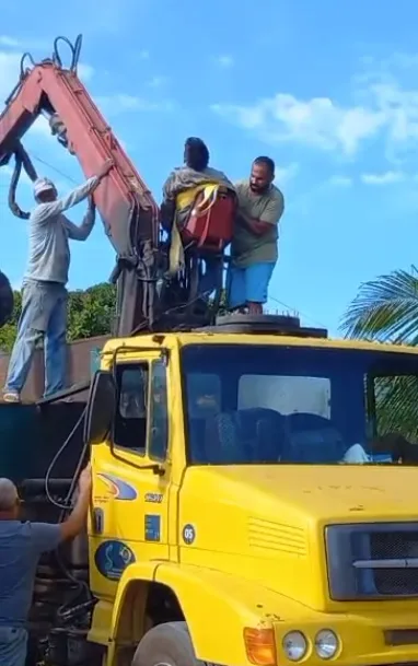 Vídeos -Funcionário de empresa de reciclagem morre ao tentar podar árvore em Alcobaça