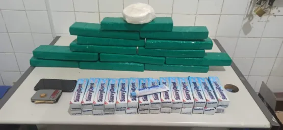 Cão farejador da Cipe Chapada encontra pastas de dente recheadas com cocaína