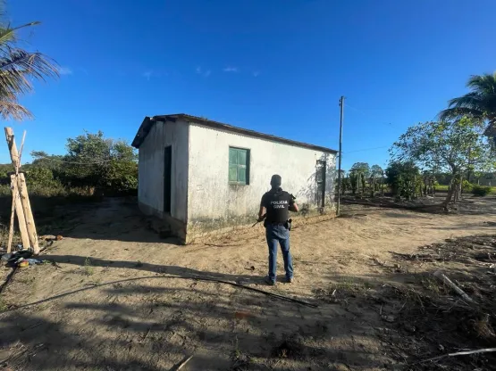 Operação da Polícia Civil desmantela associação criminosa envolvida em crimes ambientais e furto de madeira em Prado e alcobaç