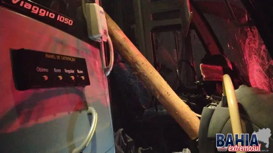 Tora de madeira invade ônibus e quase provoca grave acidente em Teixeira de Freitas