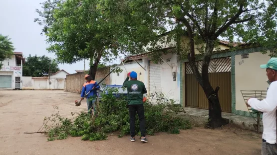 Prefeitura realiza a manutenção de poda e corte de árvores em ruas de Teixeira de Freitas após danos causados pelas chuvas