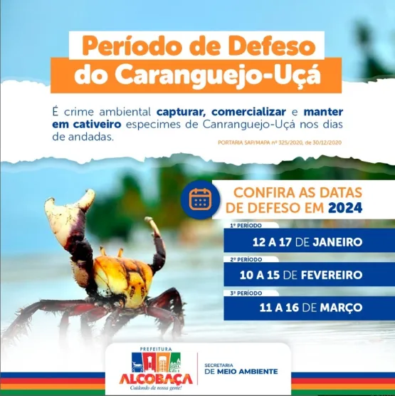 Fique atento! Prefeitura de Alcobaça informa sobre o perídio do defeso do Caranguejo-Uçá e do Guaiamum