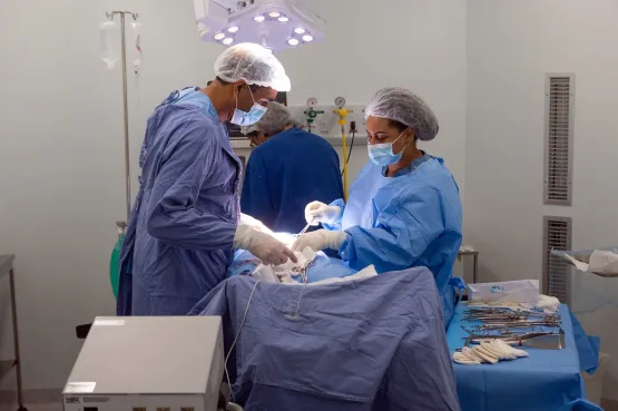 Bahia lidera número de cirurgias no Brasil em 2023, aponta Ministério da Saúde