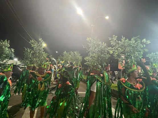 O Quarto Dia de Carnaval em Caravelas Encanta Multidões com Alegria e Samba no Pé!