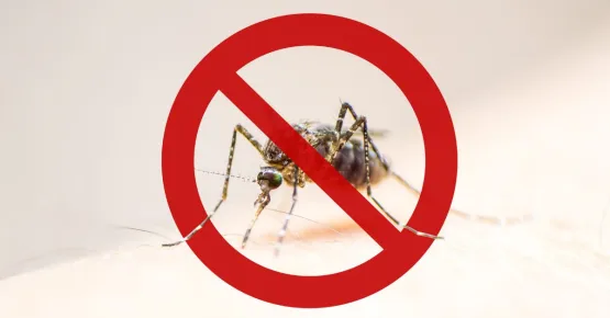 Saiba como se proteger contra a dengue, zica e chikungunya