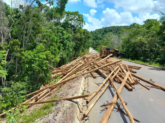 Ciclista morre atropelado por toras de eucalipto na BR 418 em Nova Viçosa