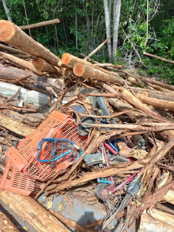 Ciclista morre atropelado por toras de eucalipto na BR 418 em Nova Viçosa