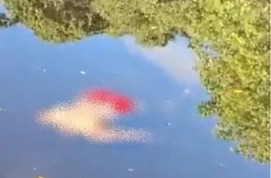 Corpo sem cabeça é encontrado boiando em rio na praia da Barra, em Santa Cruz Cabrália