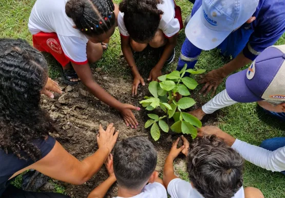 Prefeitura e EMBASA levam ação ambiental com plantio de mudas nativas e frutíferas a Escola Ismar Teixeira Guedes em Mucuri