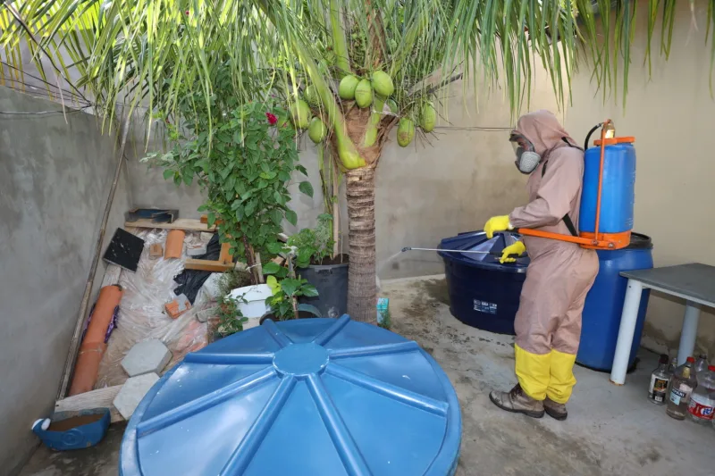 Cenário da Dengue na Bahia tem tendência de queda