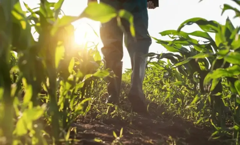 Sebrae abre inscrições para curso Liderar o Futuro Rural que iniciará em Teixeira de Freitas em junho